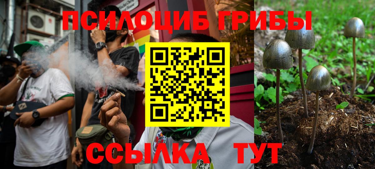 Галлюциногенные грибы Psilocybine cubensis Севастополь